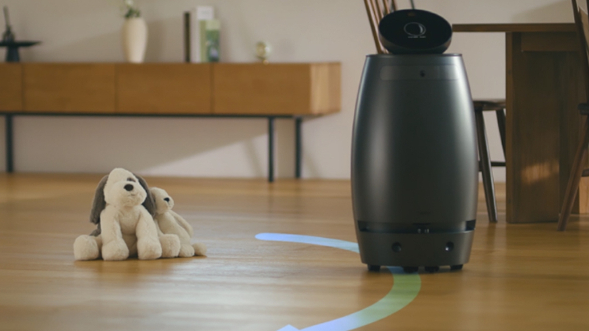 companion robot